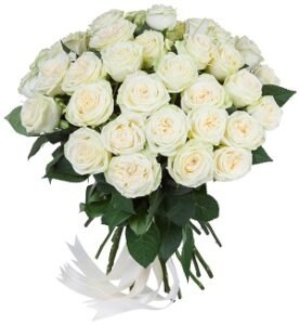 Baltos rožės
