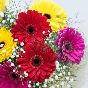 Gėlių puokštė „Gerberų miksas“